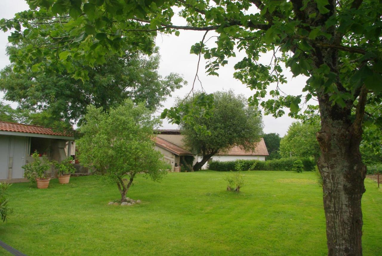 莱斯埃库瑞杜塞克住宿加早餐旅馆 Saint-Martin-de-Seignanx 外观 照片